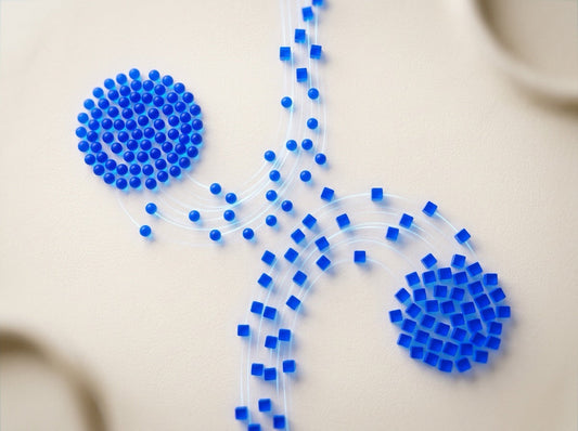 Shopify Smart Collections: What to Know Before You Set Conditions